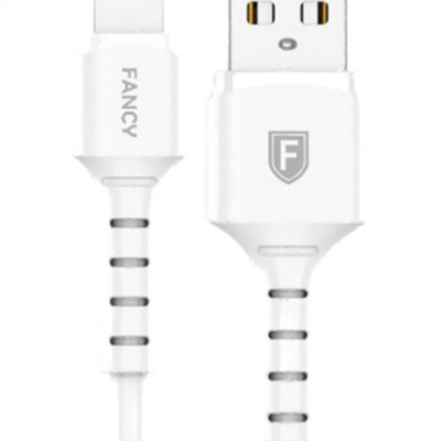 CABO DE DADOS LIGHTNING FANCY 2M FC20I 2.4A